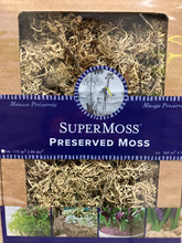 Load image into Gallery viewer, Branched Parmelia Lichen