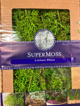 Load image into Gallery viewer, Branched Parmelia Lichen