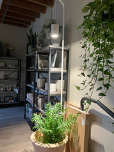 Load image into Gallery viewer, Stello Plant Stand