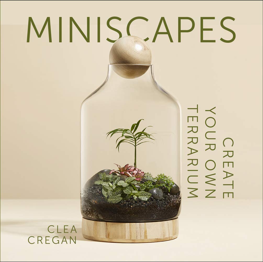 Miniscapes  Create Your Own Terrarium