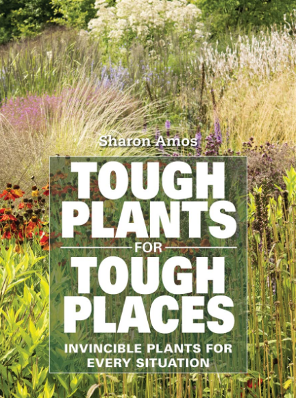 Tough Plants for Tough Places