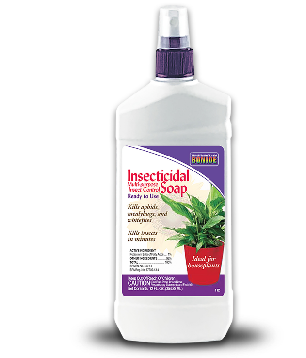 Bonide 12oz Insecticidal Soap Houseplant