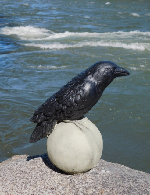 Blackbird on a Sphere