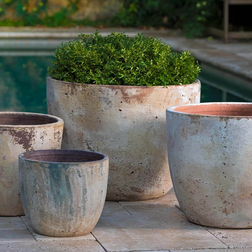 Cassia Planter